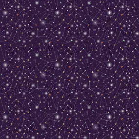 Night Sky