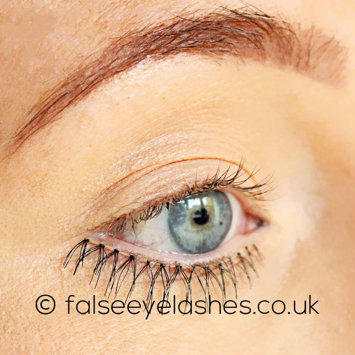 Red Cherry Under Lashes Style #502 (Kitty)