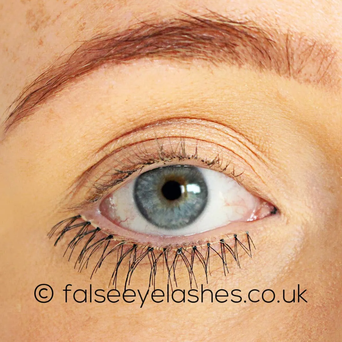 Red Cherry Under Lashes Style #502 (Kitty)