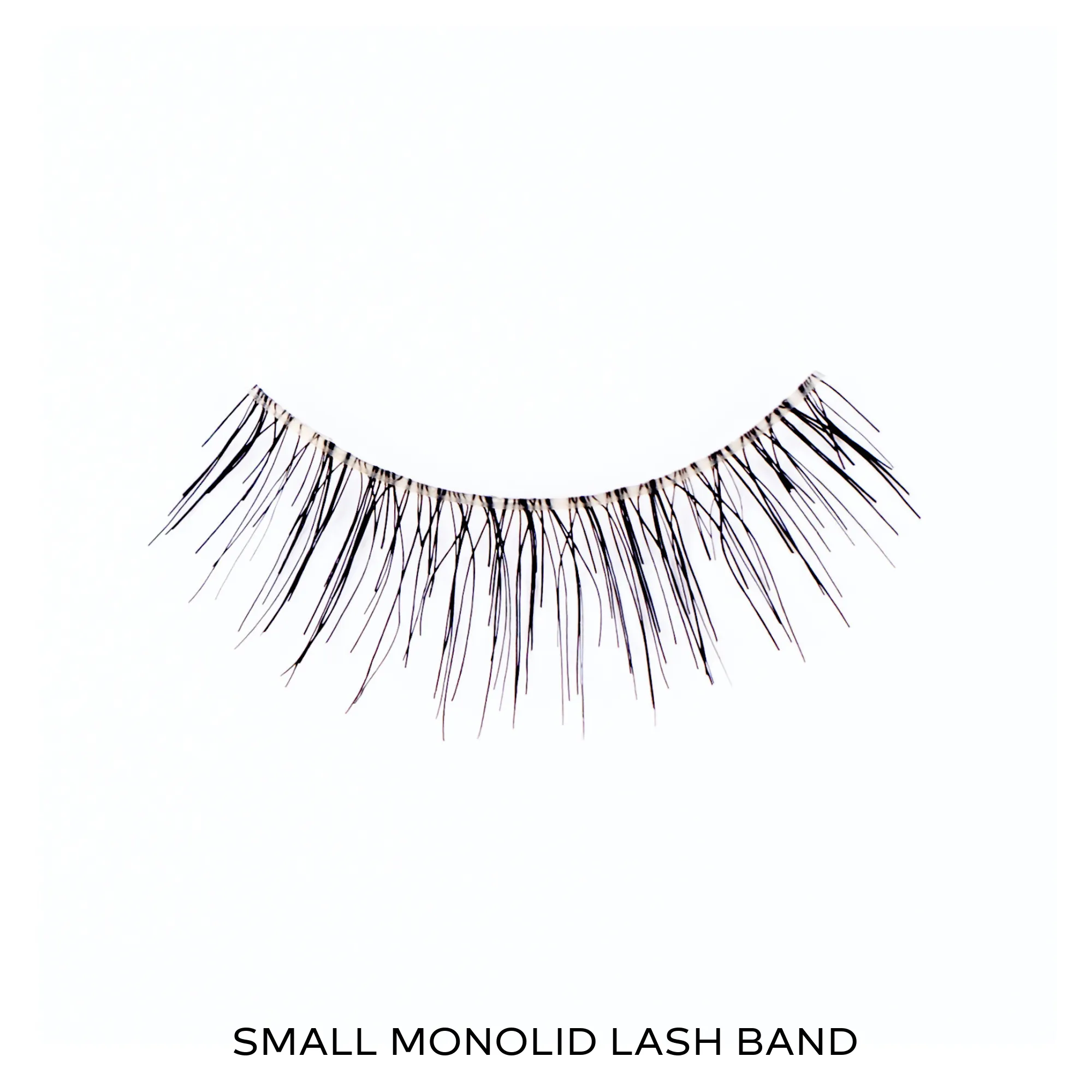 STARTER LASH KIT